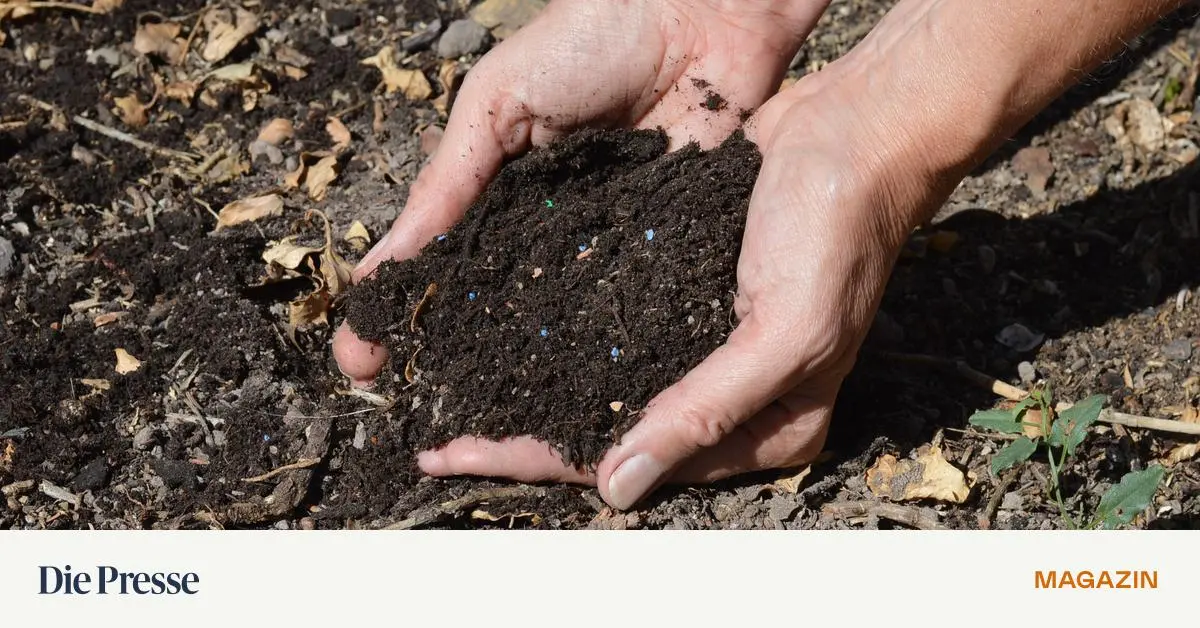 Mikroplastik-Wo-es-bunt-hergeht-soll-nichts-im-Boden-bleiben-premium-