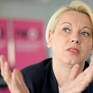 EU-WAHL: INTERVIEW ANGELIKA MLINAR