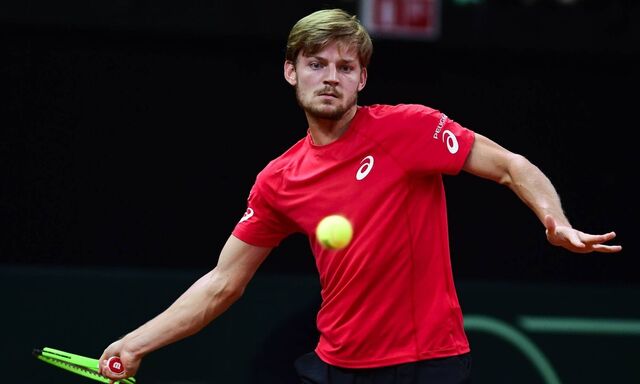David Goffin 