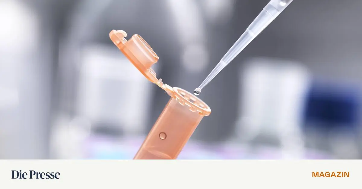 Lohnt-sich-ein-PhD-noch-premium-