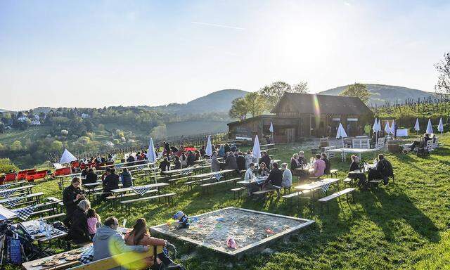 Jausenstation und Weinberge im Weingut Mayer am Nussberg in Wien 19 Wien Oesterreich