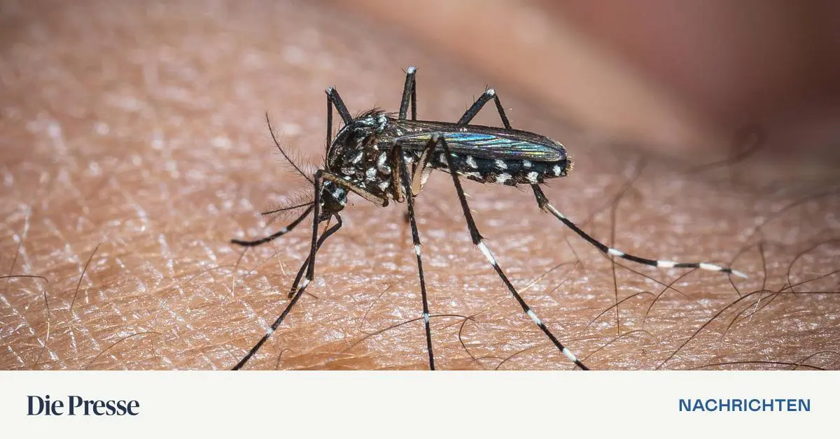 Chikungunya-Virus-breitet-sich-in-Norditalien-und-S-dfrankreich-aus