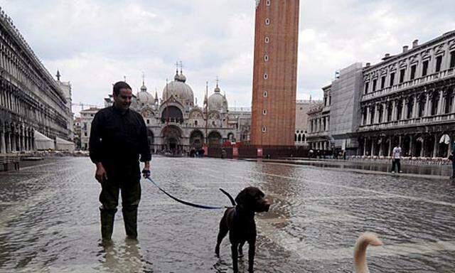 Der Markusplatz steht wieder unter Wasser.
