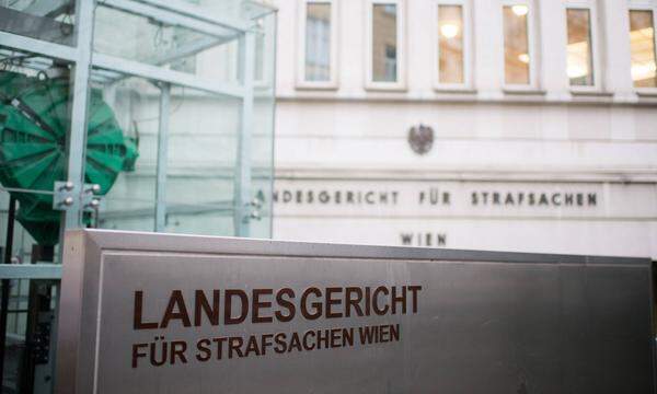 Die zuletzt im Vorjahr angehobenen Strafdrohungen bei Gewalt- und Sexualdelikten sollen weiter verschärft werden. Zudem will die Koalition prüfen, ob junge Erwachsene (zwischen 18 und 21 Jahren) künftig dieselbe Strafe wie ältere Täter erhalten sollen. Im Suchtmittelgesetz will man bereits den Verkauf von Hanfsamen und Hanfpflanzen verbieten.