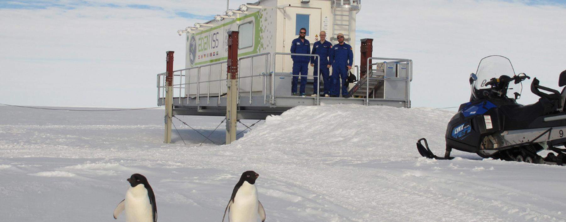 EDEN-ISS-Station in der Antarktis