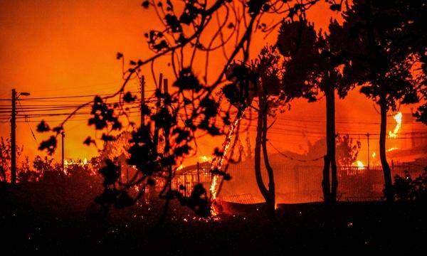 143 Brände wüten in dem südamerikanischen Land.