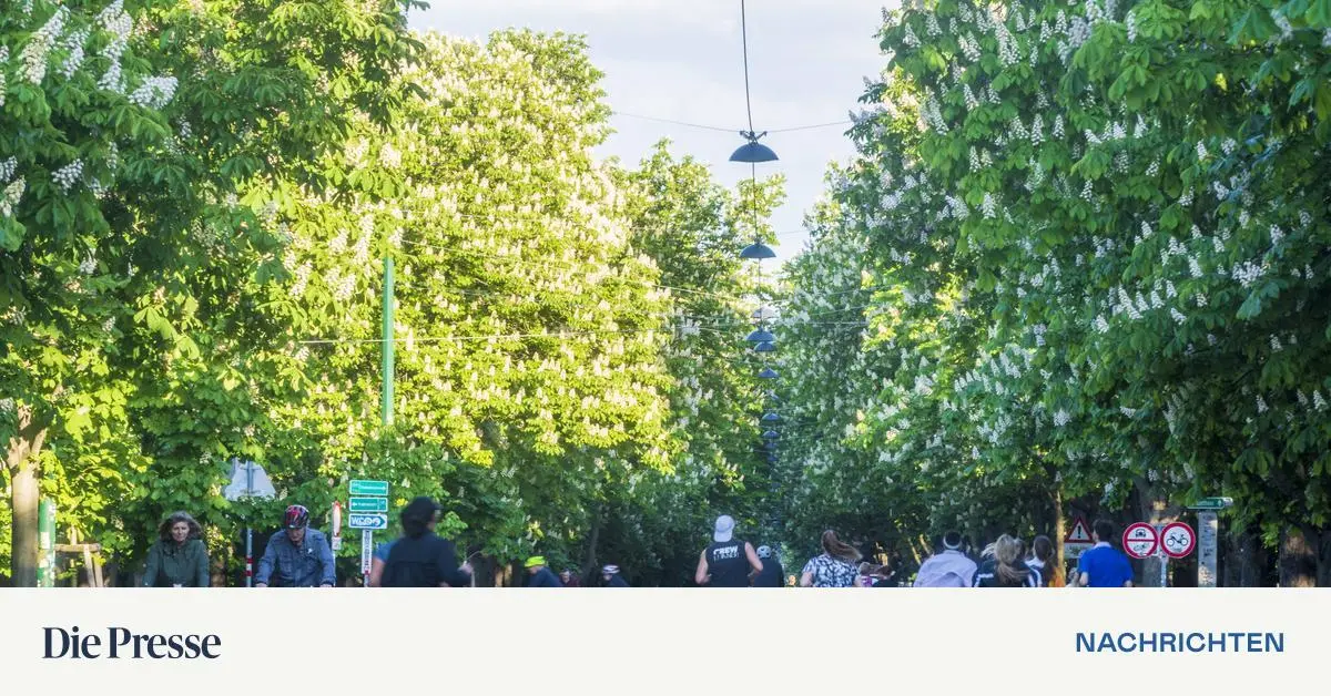 -Vienna-Climate-Run-Laufen-im-Prater-f-rs-Klima