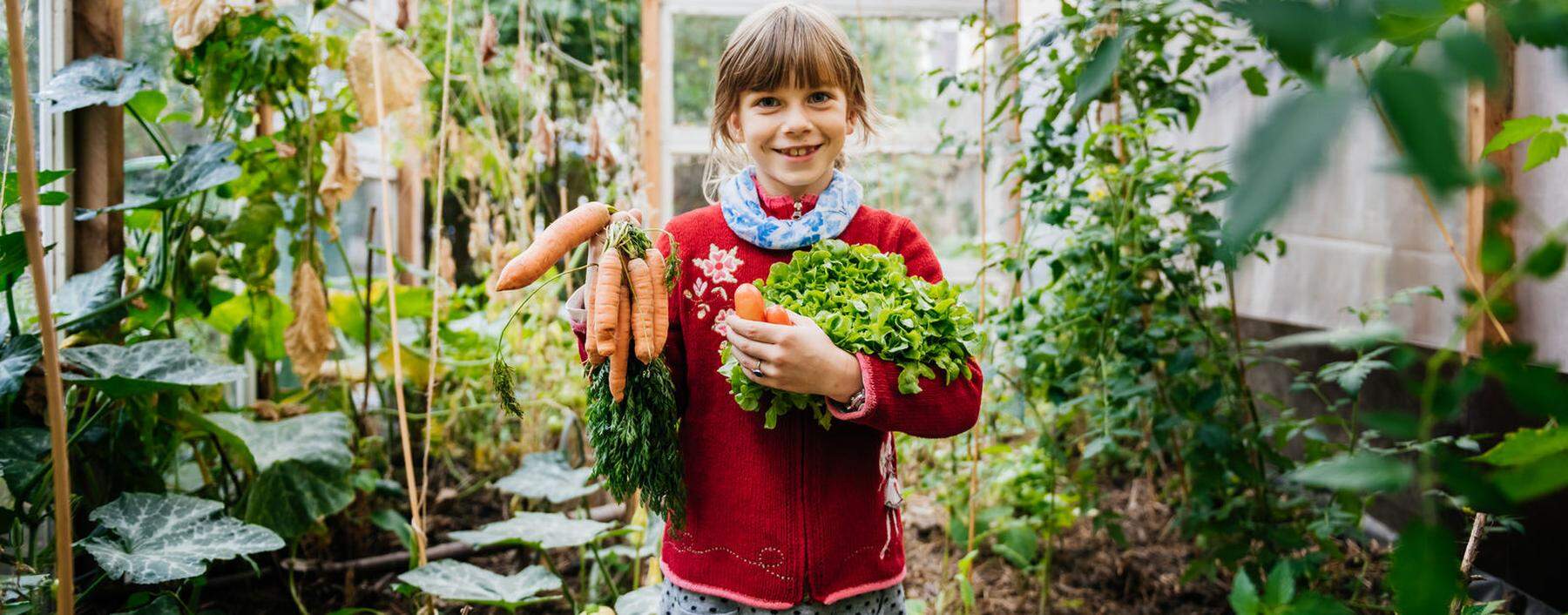 Karotten und Salat: Viele Kinder mögen gerade gesunde Kost nicht.