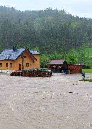 NIEDER�STERREICH: HOCHWASSER IM RAUM LILIENFELD