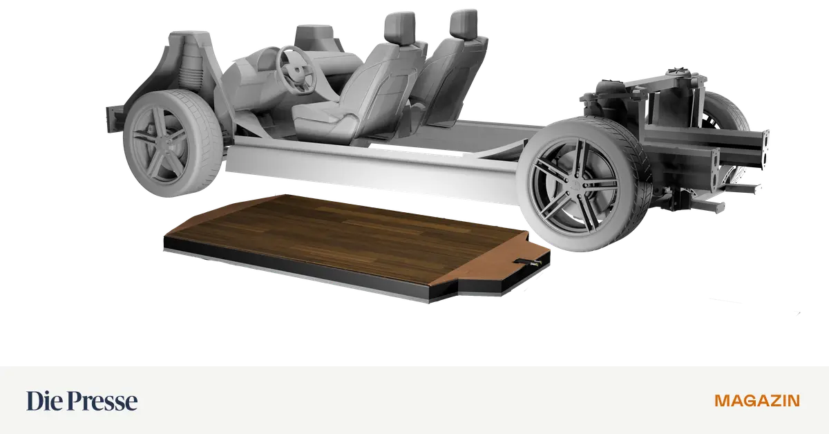 Ein-Haus-aus-Holz-f-r-die-Batterie-im-Elektroauto-premium-