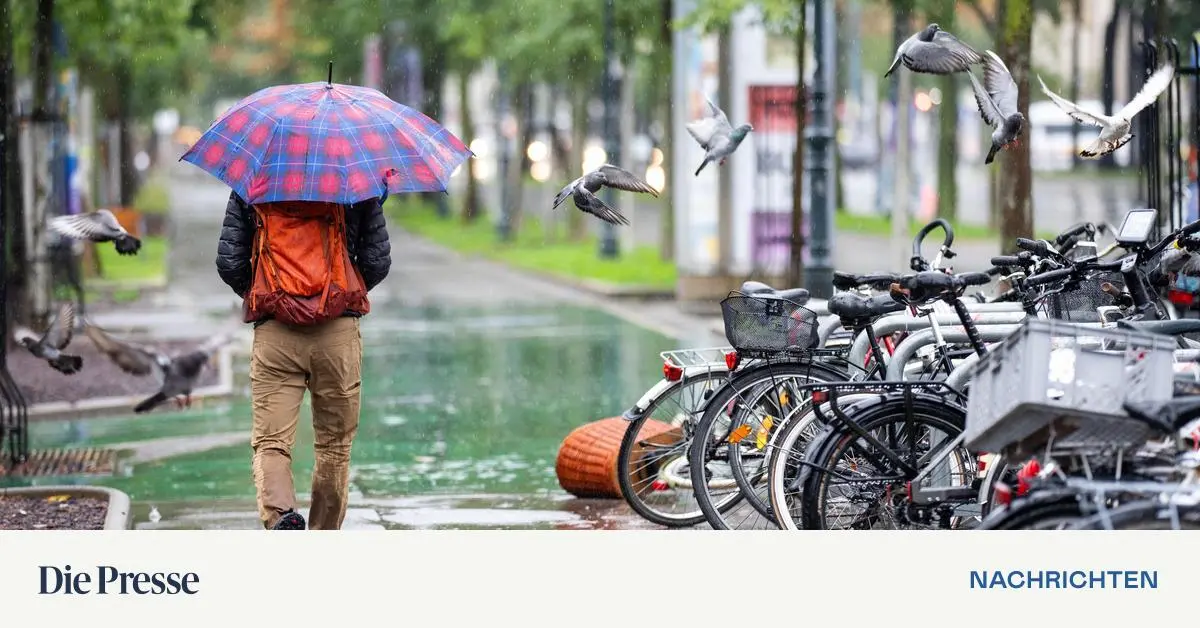 Nie-wieder-sch-nes-Wetter-premium-