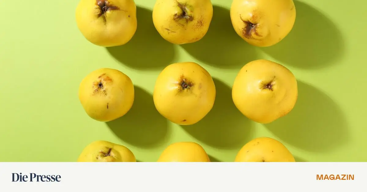 Die-Quitte-ein-Irrtum-premium-