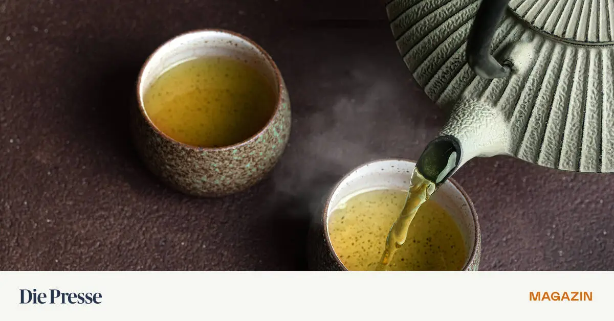 Das-Haus-der-Gro-mutter-war-das-Sinnbild-einer-Generation-die-hart-wie-Kruppstahl-z-h-wie-Leder-und-flink-wie-ein-Windhund-gewesen-war-premium-