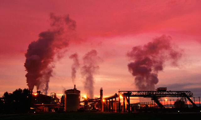 Jede zweite Chefetage heimischer Mittel- und Großunternehmen sorgt sich um die Umwelt.