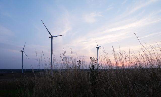 Windkraft allein aus Sibirien hätte das Potenzial, den derzeitigen Gesamtenergiebedarf der Erde abzudecken. 