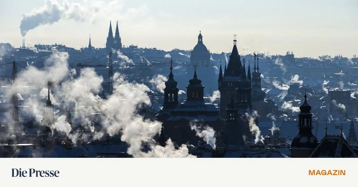 Warum-der-brave-Soldat-Schwejk-pl-tzlich-als-Waffenlieferant-re-ssiert-premium-