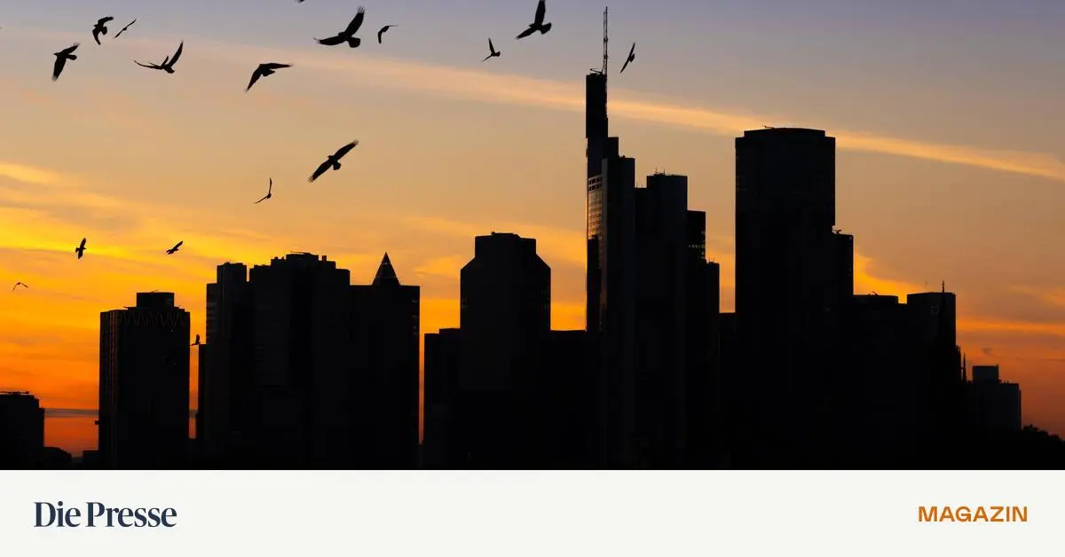 Weshalb-sollten-Aktien-jetzt-noch-steigen-premium-