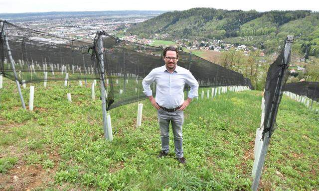 Hannes Sabathi in seinem Weingarten am Grazer Kehlberg. Die schwarzen Netze schützen vor Hagel, aber auch den Rehen.