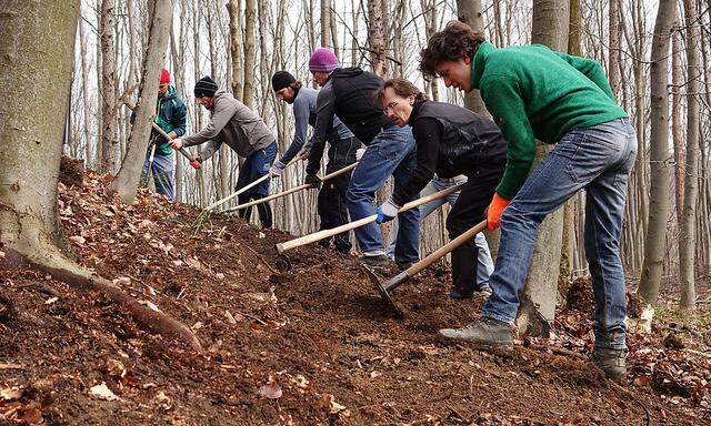 Frewillige des Vereins Wienerwald Trails beim Bau der Strecken