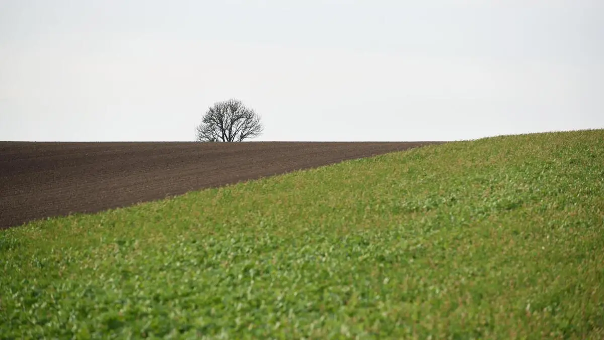 Brunner bremst: Gegen Limit bei Bodenverbrauch – DiePresse.com