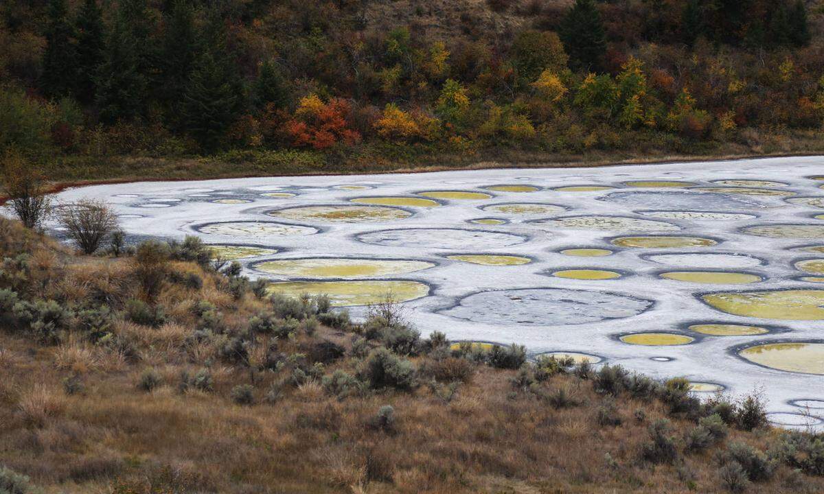 Der Spotted Lake ist ein Heiligtum der First Nations im Okanogan Valley, ganz im Süden von British Columbia, Kanada. Der kleine See ist reich an Mineralien (Kalzium, Natriumsulfat, Magnesiumsulfat). In den heißen Sommermonaten, in denen ein großer Teil des Wassers verdampft, steigt die Konzentrationen dieser Mineralien und sie werden in Form von kleinen Pools sichtbar.