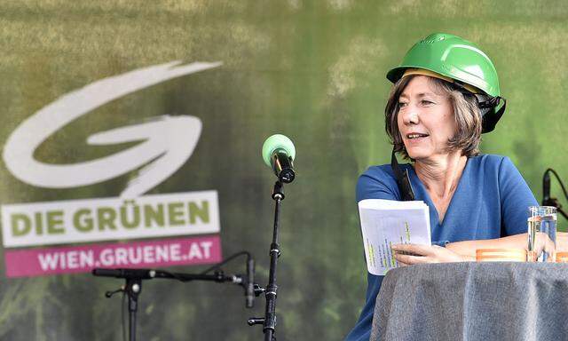 Birgit Hebein, Ex-Parteichefin der Wiener Grünen, ist aus der Partei ausgetreten. Das ist nur eines der grünen Probleme. 