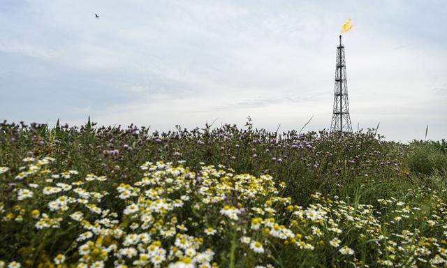 The Netherlands Lageland Eemkanaal Gas extraction flare stack gas industry PUBLICATIONxINxGERxSU