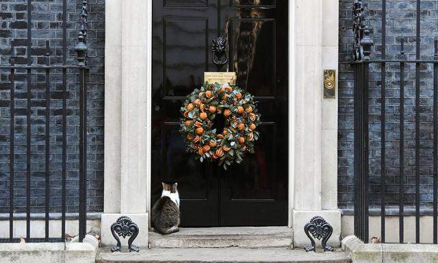 Kater Larry, die Hauskatze des britischen Premierministers, vor der Downing Street Nummer 10. Am Donnerstag entscheidet sich, wer dort als Nächstes einzieht. 