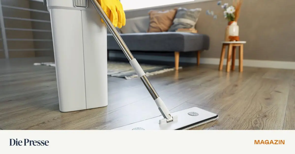 Scheinbar-selbstst-ndig-Ein-Fall-f-rs-Strafrecht-premium-