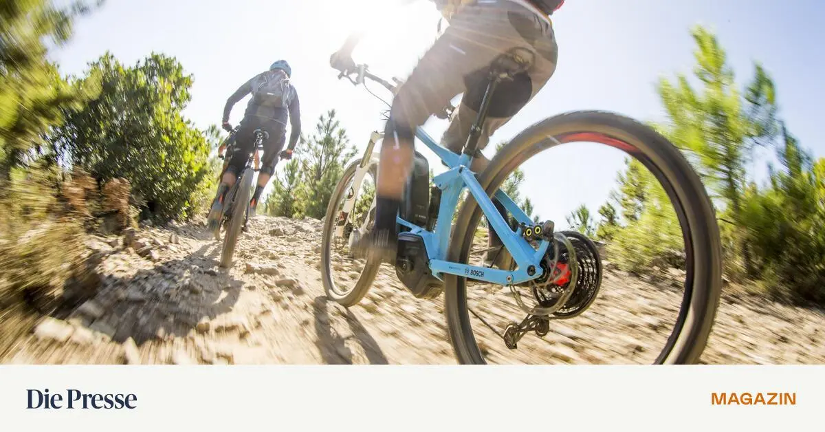 Was-passiert-bei-K-lte-oder-St-en-in-der-E-Bike-Batterie-premium-