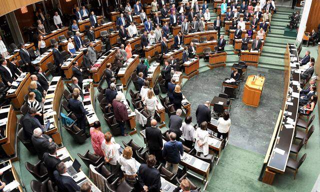 (Fast) alle Nationalratsabgeordneten erhoben sich am Donnerstag im Plenarsaal von ihren Stühlen – und stimmten so dem Neuwahlantrag zu. 