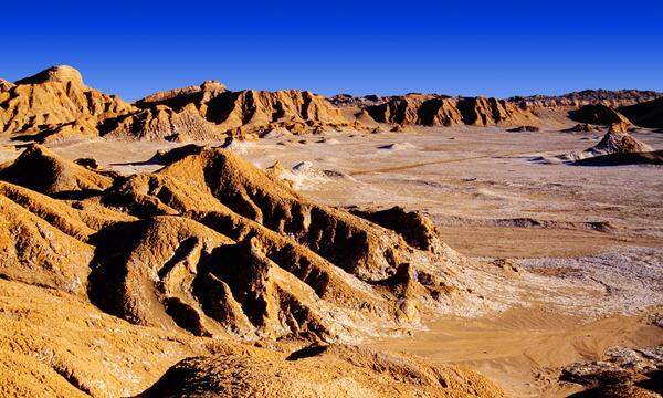 Die Atacama ist die unwirtlichste aller Wüsten. Aber selbst hier gedeihen Biokrusten. 