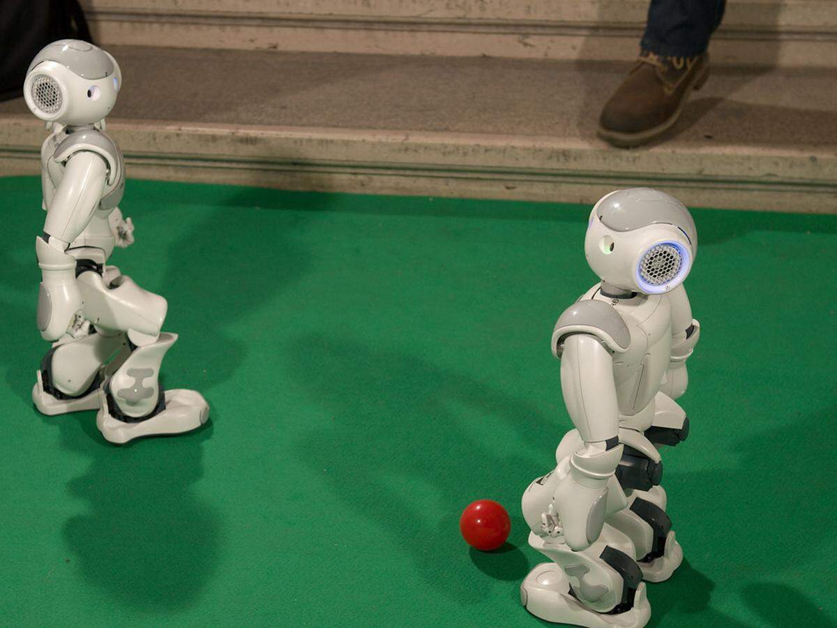 Auf den ersten Blick sehen die niedlichen Roboter wie etwas größeres Spielzeug aus. Bei Preisen von mehreren tausend Euro pro Stück kann davon aber keine Rede mehr sein.