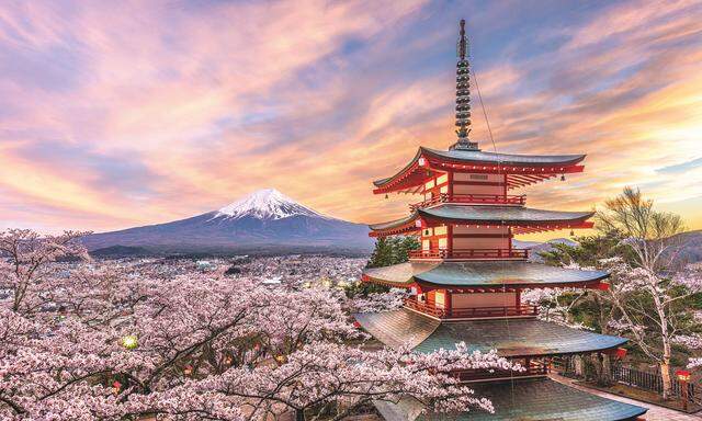 Im Frühling wird Japan rosa: Bestaunen Sie die magische „Sakura“, die Kirschblüte bei der Chureito-Pagode 
