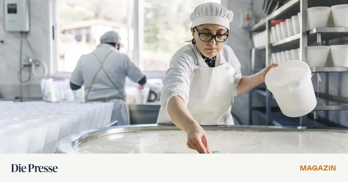 Weniger-H-rden-f-r-Betriebe-So-sollen-Genehmigungen-schneller-werden-premium-