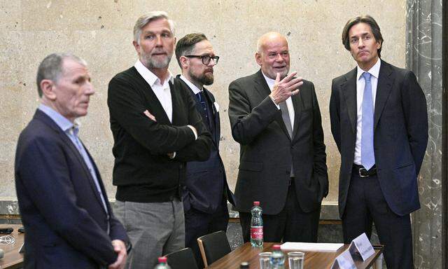 Peter Hochegger, Walter Meischberger, Norbert Wess, Manfred Ainedter und Karl Heinz Grasser im Wiener Straflandesgericht. 