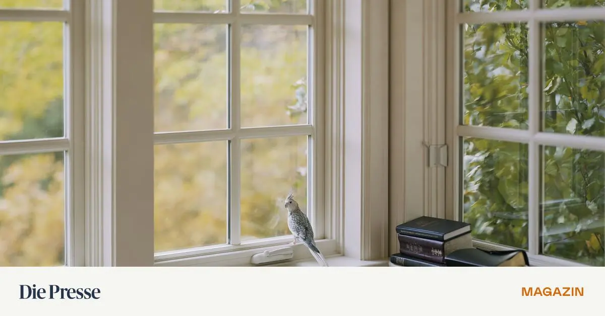 Ich-glaube-brigens-an-die-Liebe-premium-