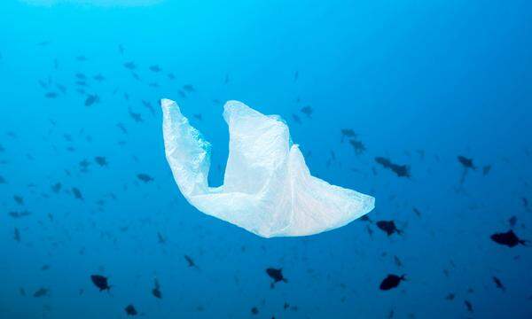 Plastik findet sich überall – und belastet die Meere in besonderem Maße. Und das Klima weitaus stärker als bisher bekannt. 