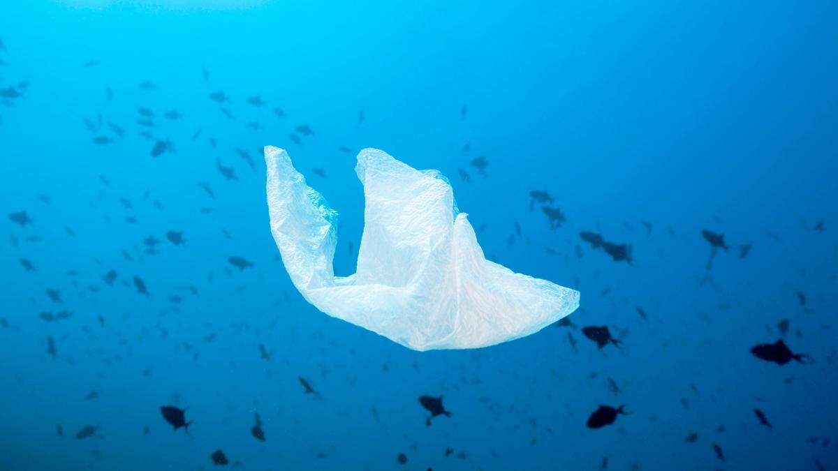Plastik findet sich überall – und belastet die Meere in besonderem Maße. Und das Klima weitaus stärker als bisher bekannt. 