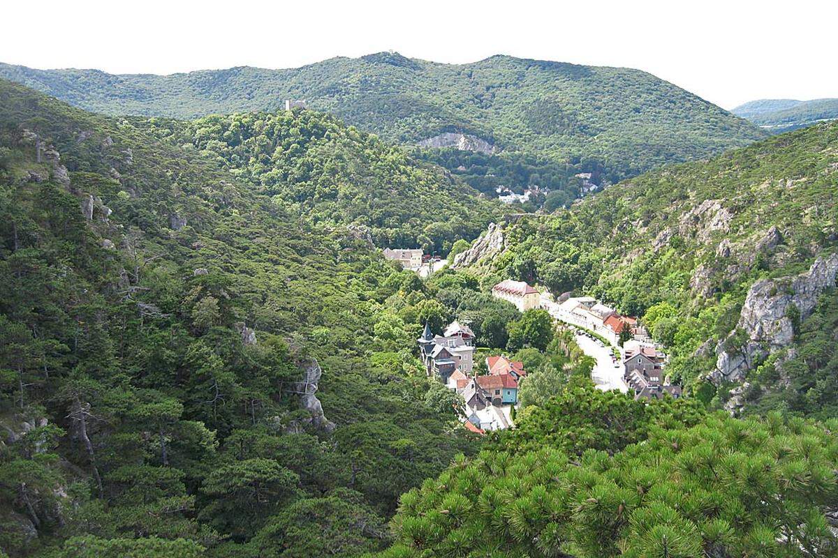 Nun gibt es drei Möglichkeiten, um wieder nach unten zu kommen: Geübte Kletterer können auf selbem Weg zurück ins Mödlingbachtal, müssen aber mit Gegenverkehr rechnen. Alternativ gibt es auch einen Waldweg zurück zum Einstieg. Oder aber man wählt den Fußweg durch den Naturpark Föhrenberge ...