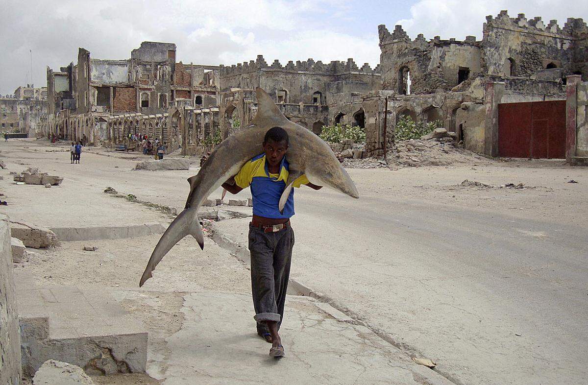 Omar Feisal, Somalia, Reuters Ein Mann trägt einen Hai in Mogadishu in Somalia, 23 September