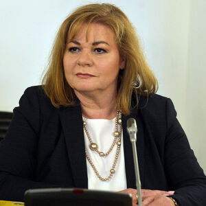 Die Leiterin der WKStA, Ilse Vrabl-Sanda, im U-Ausschuss