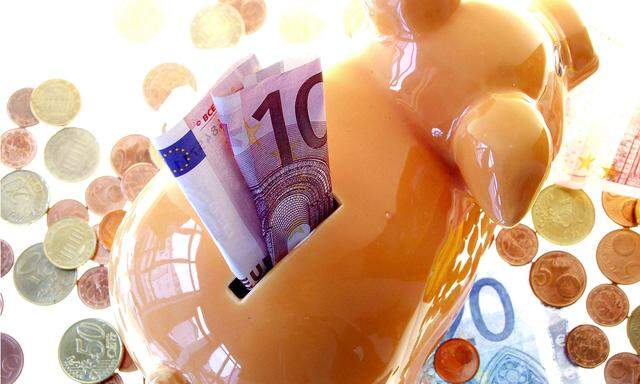 Sparschwein mit Euros - piggybank and money