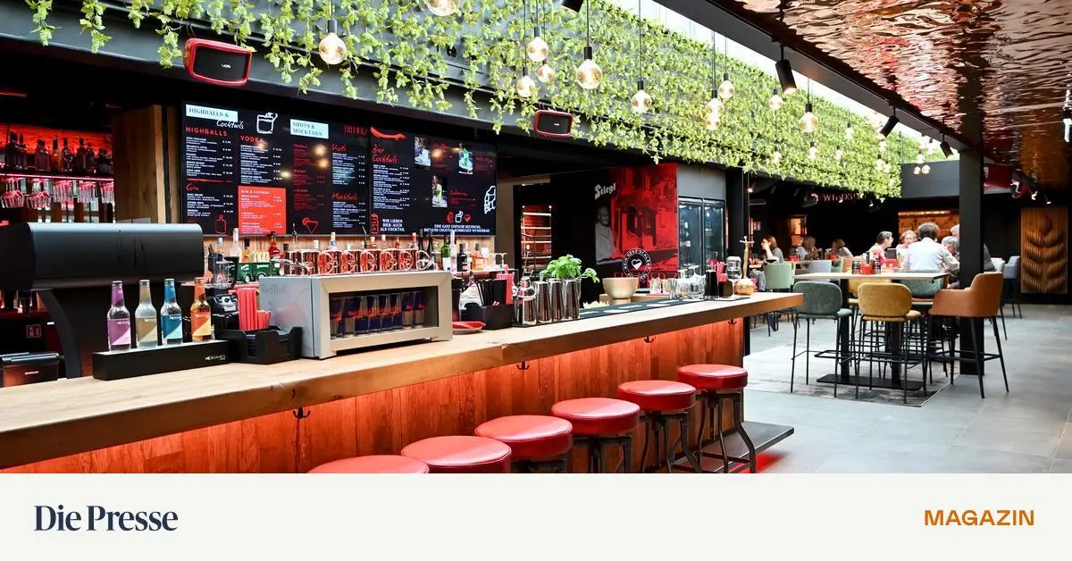 Lokalkritik-Eine-Fusion-aus-Bar-und-Biergarten-im-Alten-AKH-premium-