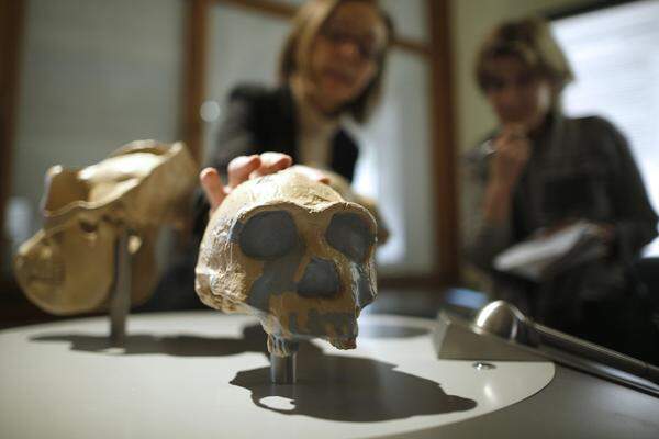 Die Besucher können ihr eigenes Bild "morphen" und sich so in einen Urmenschen verwandeln und das ausgedruckte Ergebnis dieser Verwandlung mit nach Hause nehmen. Mithilfe zahlreicher Tablets lassen sich einerseits Grundinformationen vermitteln, andererseits auch tiefer gehende Fragen beantworten.