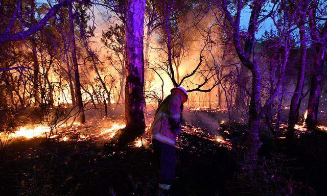 Tausende Feuerwehrleute kämpfen gegen die zahlreichen Brandherde nordwestlich von Sydney.  