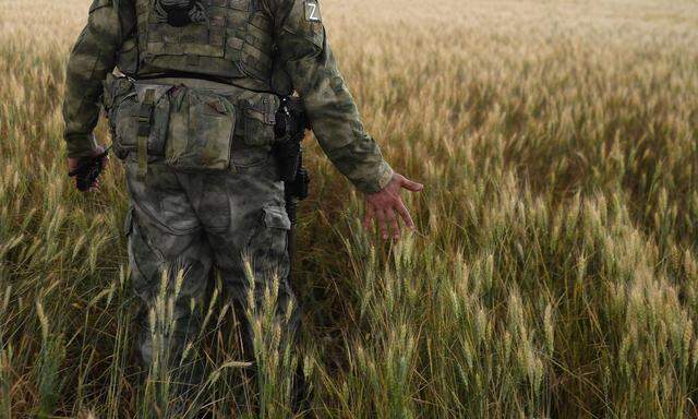 Auf Patrouille im Weizenfeld: Russische Soldaten streifen durch die ukrainische Kornkammer.