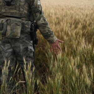 Auf Patrouille im Weizenfeld: Russische Soldaten streifen durch die ukrainische Kornkammer.