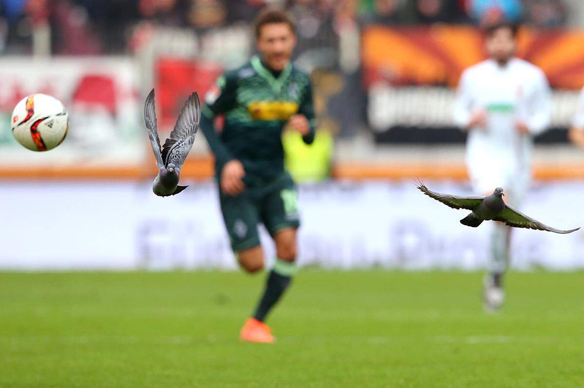 Alexander Hassenstein: Flugball; Getty Images Fußball-Bundesliga – zwei Tauben fliegen mit dem Ball.