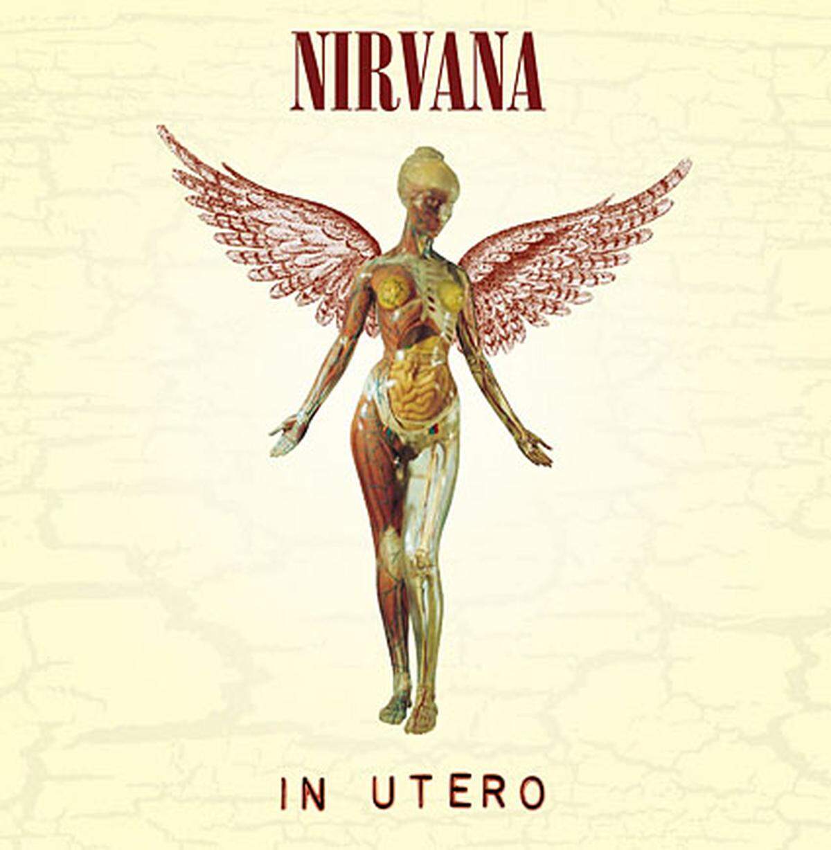 Mit Produzent Steve Albini veröffentliche Nirvana 1993 das dritte reguläre Album "In Utero". In Großbritannien stieg es auf Nummer eins in die Charts ein. Im Herbst begann die Band mit ihrer Welttournee.